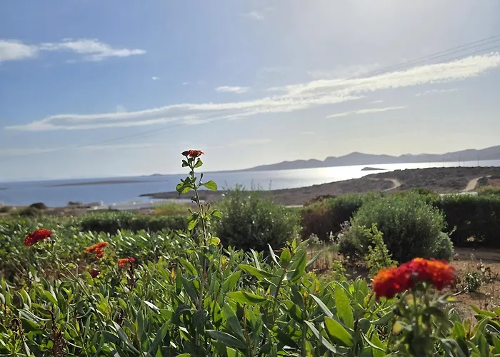 Paros Afrodite Luxury Вилла *