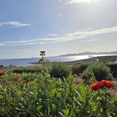 Paros Afrodite Luxury Villa *