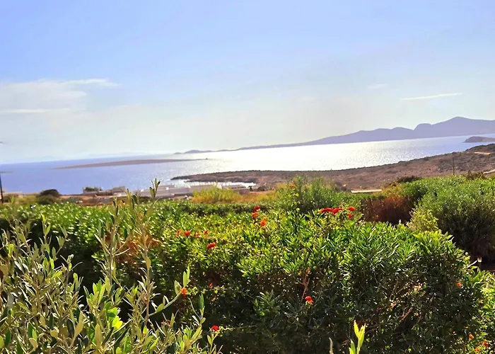 Paros Afrodite Luxury 别墅